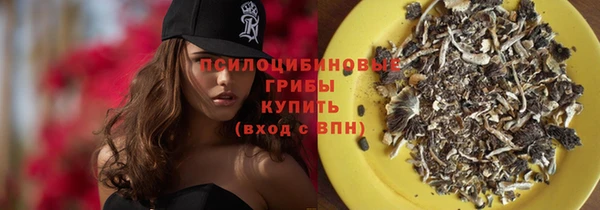 прущие грибы Зерноград