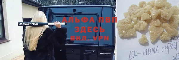 прущие грибы Зерноград