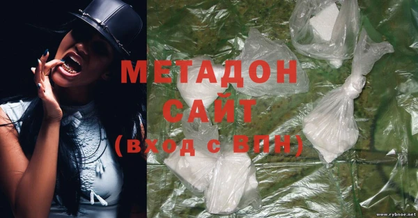 прущие грибы Зерноград