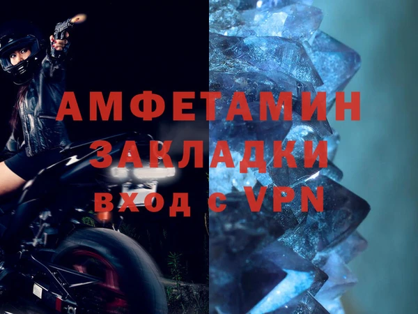прущие грибы Зерноград