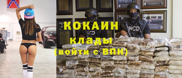прущие грибы Зерноград