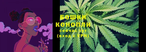 прущие грибы Зерноград